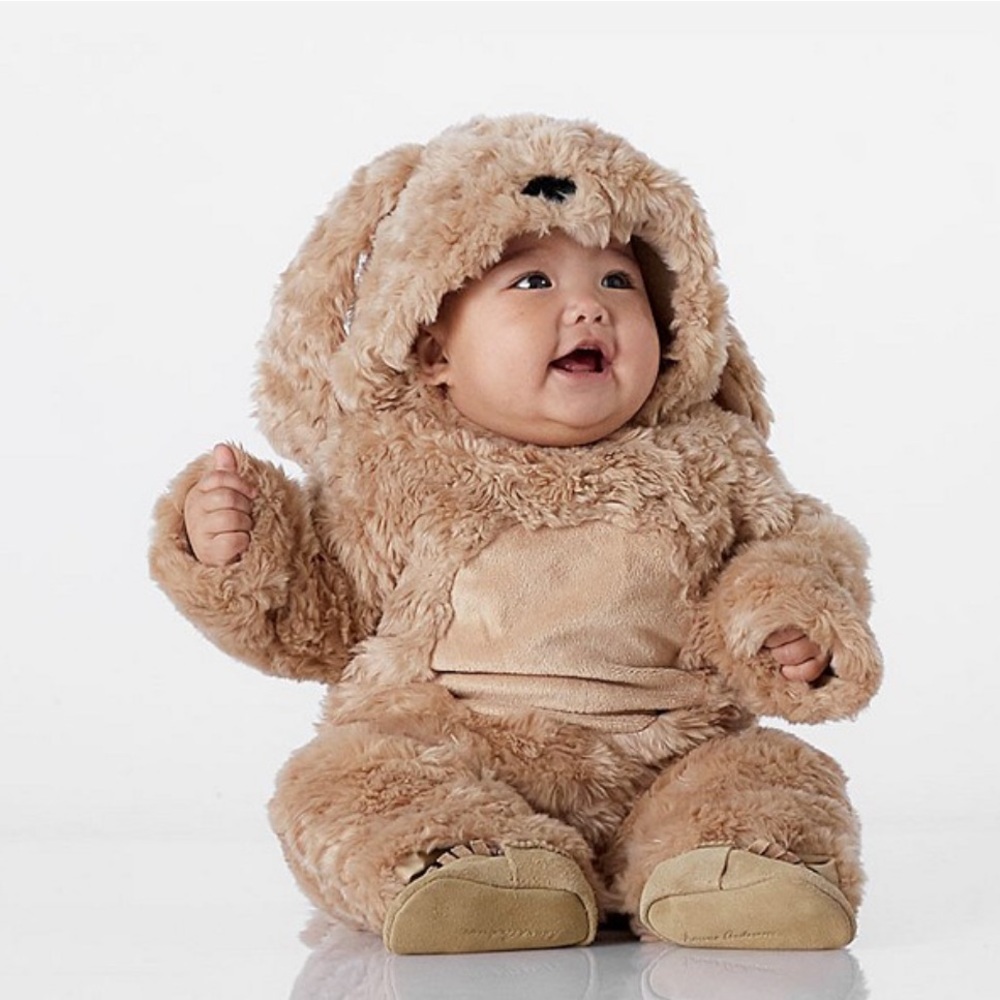 Pottery Barn Baby Labradoodle Costume